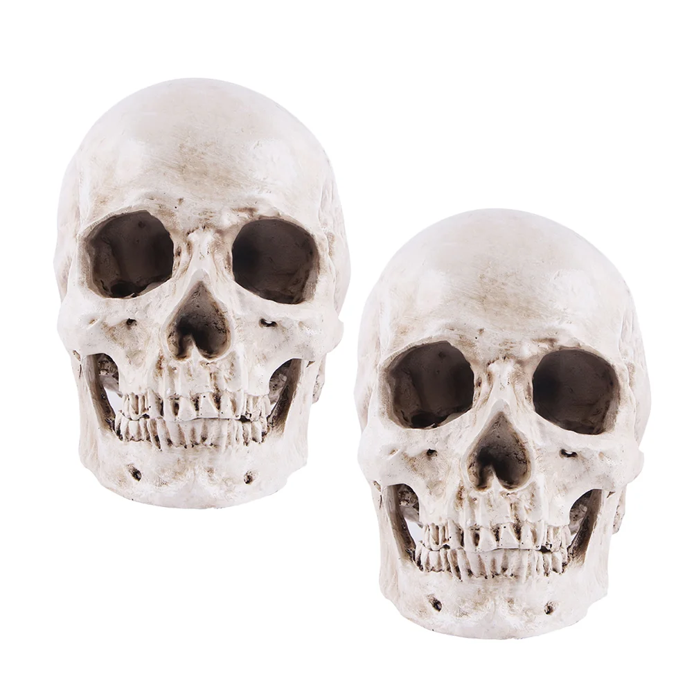 Копие на човешки череп 1: 1 Модел Украса за Хелоуин за декорации diy за възрастни