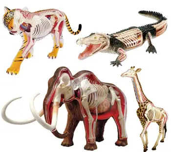 Свалящ се имитативната анатомическая модел на животното в колекцията на Мечка, Тигър крокодил жираф Горила Mammoth